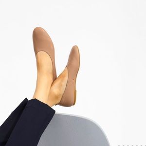 Everlane Italian Leather Day Glove Camel Size 8